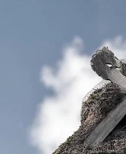 DAHLER Nordheide Bild 5