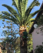 INDIGO JARDINES imagen 11