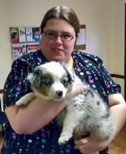 North Main Animal Clinic image 6
