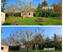 Arbres et Cimes image 2