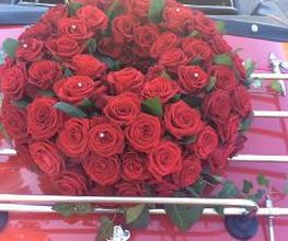 Une Fleur M'a Dit. image 13