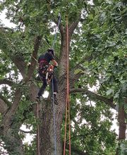 WhatsApp Bild 2023-10-11 um 20.10.28_0383de75.jpg