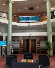CIC image 2