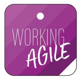 WORKING AGILE