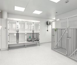 Marigin Tierklinik - 24 Std. Notfalldienst - Zentrum für Tiermedizin Bild 9