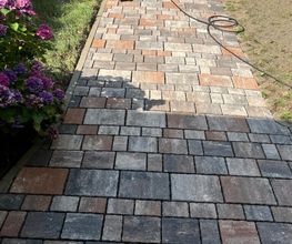 Haus-&Gartenservice Rose Bild 1