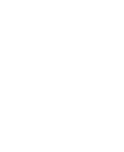 SteuriFisch AG Bild 4