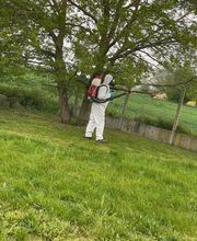 SOS Abeilles image 3