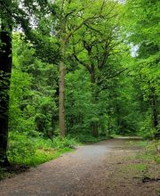 FriedWald Ostfriesland Bild 4