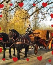 Le Haras De Muralis image 7