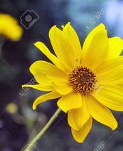 Pharmacie De La Poste image 4