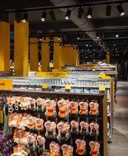 Arcaplanet immagine 1