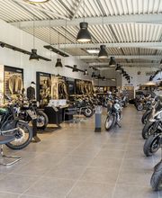 Triumph Bordeaux image 19