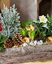 Rambert Fleurs image 11