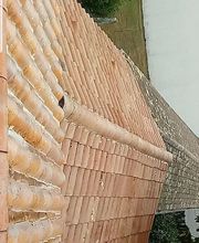 Renard Dianni image 1