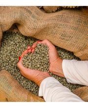Kaffee-Manufaktur 504 Bild 1