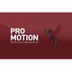 Pro Motion Physiotherapie