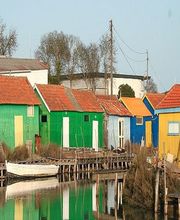 Les Floralies image 1