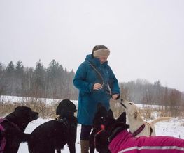 MEHR Hundeschule Bild 9