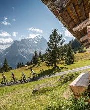 First Trottibike Bild 4