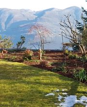 BaumGärtner - Giardini Bild 10