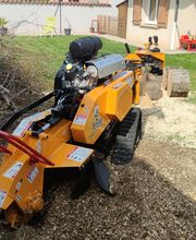 Des Racines à la Cime image 1