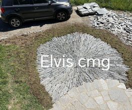 ELVIS CMG image 4