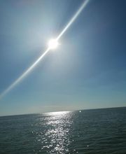 LE PETIT RADIEUX image 8