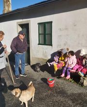 Casa Niño O Bicarelo imagen 9