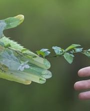 Bego GmbH-Gebäudereinigung Bild 1