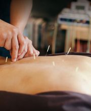 BAKER ALISON image 4