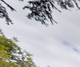 2 REALITY image 9