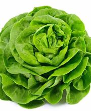 Saveurs Provençales image 6