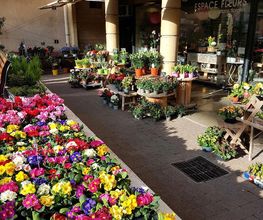 Espace Fleurs image 16