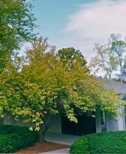 Georgia Sky Outpatient Detox (Alpharetta) image 5