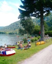 CAMPING LES JONQUILLES image 11