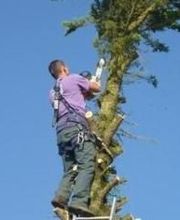 Entreprise Godard image 13