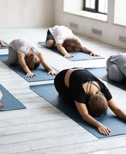 YogaOne NouBarris imagen 5