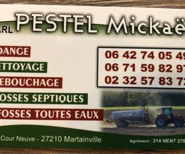 Pestel image 4