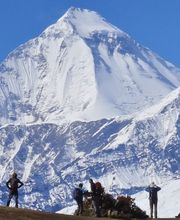 Base Camp Trekking & Expeditions image 1