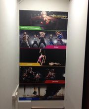 Gallery Cliente