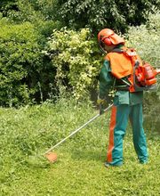 Douaire David image 10