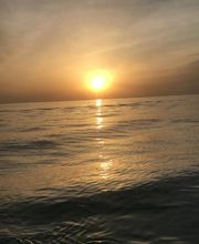 Foncier Immobilier Le Carrelet image 6