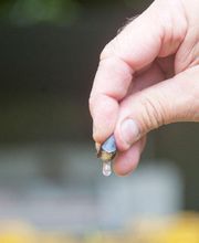 CANTINA IL CAVALIERE SA Bild 12