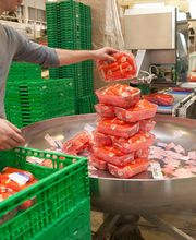 Gallery Professionale