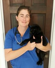 Pooler Veterinary Hospital image 1