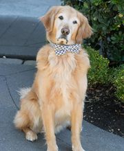 Cobb Hammett LLC image 2