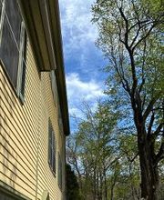 Owen's Tree Expert image 19