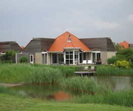 Type Duinroos