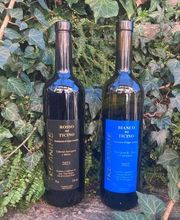 Cantina Böscioro Bild 2